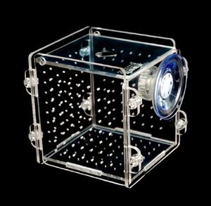 Caja de aislamiento <span class=keywords><strong>doble</strong></span> para pecera de Acuario, incubadora para incubar peces, Caja de aislamiento - Product Image 1