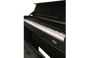 Venta al por mayor NUX WK-360 Pantalla LCD de 88 teclas, <span class=keywords><strong>piano</strong></span> de cola digital eléctrico con altavoz - Product Image 5