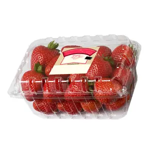 Boîte de fruits écologiques, emballage alimentaire pour emballage de fraises, vente en gros, 50 pièces