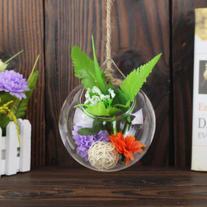 Vase en <span class=keywords><strong>verre</strong></span> <span class=keywords><strong>suspendu</strong></span>, dispositif de présentation de plantes à Air, terrarium, décoration de maison, vente en gros - Product Image 5