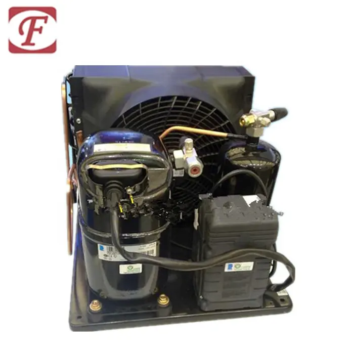 2hp Tecumseh Compressor Condenserende Eenheid CE-TFH4524FH/Hr, Luchtgekoelde Condensor Voor Koude Kamer