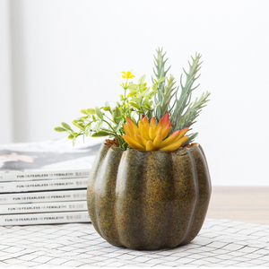 Commercio all'ingrosso decorativo personalizzato <span class=keywords><strong>Zucca</strong></span> in vaso falso succulente <span class=keywords><strong>pianta</strong></span> artificiale per la decorazione domestica - Product Image 5