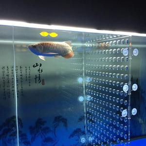 <span class=keywords><strong>Aquarium</strong></span> <span class=keywords><strong>Aquarium</strong></span> Acryl <span class=keywords><strong>Divider</strong></span> 10/29/30/40/<span class=keywords><strong>55</strong></span>/75/120 <span class=keywords><strong>Gallon</strong></span> Isolatie Board (zuignap Geen Inbegrepen) - Product Image 2