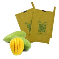 Fruit Protection Paper Bag, Mango Fruit Cover