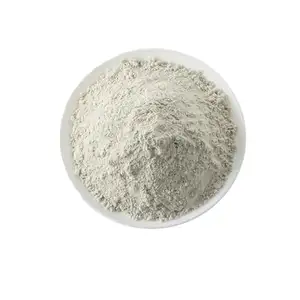 沸石 SOKIRNITE 矿物土壤肥料天然 mordenite 沸石 clinoptilolite 粉末
