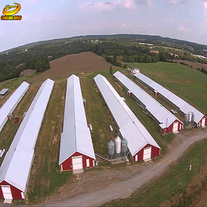 Factory provide structure steel Farm chickens broiler shed building design Henhouse - Product Image 4