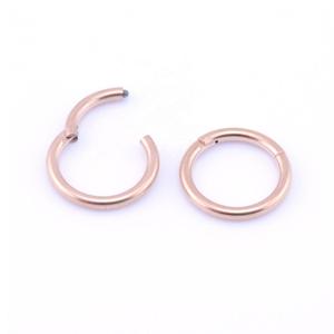 Vách ngăn <span class=keywords><strong>Clicker</strong></span> Nose Ear Vành Bản Lề Segment Nhẫn Khác Nhau Kích Thước & Màu Sắc - Product Image 3