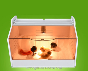 <span class=keywords><strong>Poussin</strong></span> éleveur chaud bébé <span class=keywords><strong>poussin</strong></span> volaille matériel agricole - Product Image 3