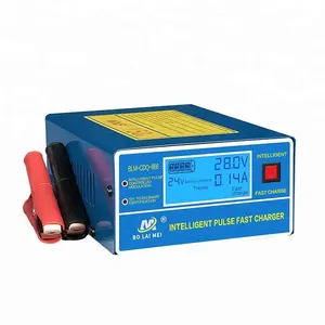 Portable Universal Automatic Smart Lead Acid UPS Standard Battery 12V 24V Car Battery Charger