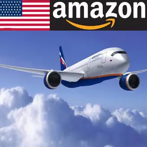 Sicuro competitivo di trasporto aereo a FBA Amazon USA Dalla Cina