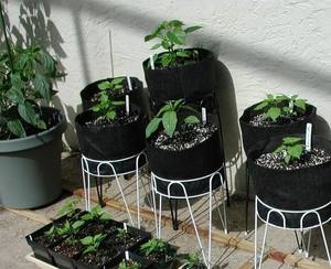 1, 2, <span class=keywords><strong>3</strong></span>, 5 10 20 30 galones cubierta no tejida bolsas de cultivo de planta de tela bolsa - Product Image 6