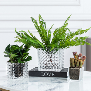 <span class=keywords><strong>Vase</strong></span> en verre clair soufflé à la main de haute qualité rectangulaire <span class=keywords><strong>carré</strong></span> Cube hydroponique pour mariage - Product Image 4