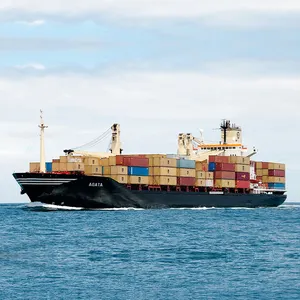 Envío de carga de Mar de China a España los cargos de transporte