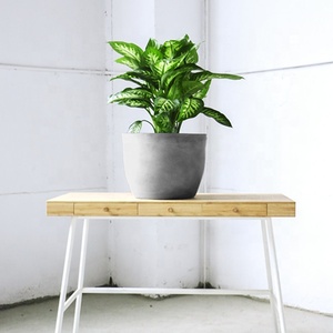 <span class=keywords><strong>Vasi</strong></span> per <span class=keywords><strong>Piante</strong></span> Succulente di Alta Qualità a Forma di Cilindro, Vaso da Tavolo in Argilla Fibrosa Ecologica, Design Minimalista per Giardino - Product Image 2