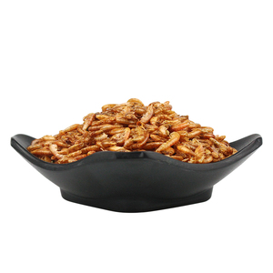 Nourriture pour Tortues <span class=keywords><strong>Gammarus</strong></span>, Crevettes Brésiliennes Séchées, Alimentation en Grains pour Tortues Chinoises - Product Image 3