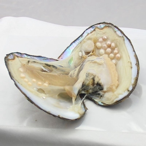 Coquille perlée échiquier, vente en gros, améthyste en perles, pour fête, vente de grossiste - Product Image 6