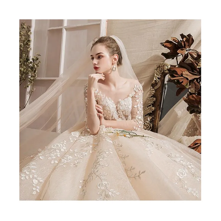 Champagne Tulle Embroidery Appliques Bridal Ball Gown 3/4 Illusion Sleeve Pleat Wedding Dress Long Train 2020 Vedtido de noviia