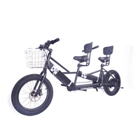 two person electric bicycle 
