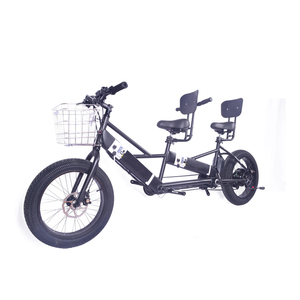 Versatile 2 Person Electric Bike With 