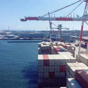 Mejor oferta internacional de la carga de mar de las tarifas de envío de Qingdao a Marseiles Fos francés/Francia y todo el mundo