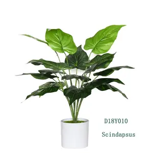 Fabrik Großhandel billig und hochwertige Scindapsus Aureus künstliche grüne Pflanze für Topf dekoration