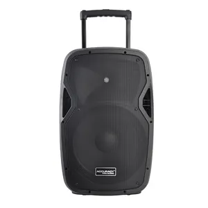 Accuracy Pro Audio CSL15AMFQ-V2BP-BT 15" Powered Speaker Portable Trolley Style Active Speaker With Rechargeable Battery