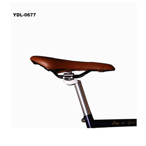 Vélo <span class=keywords><strong>de</strong></span> <span class=keywords><strong>route</strong></span> 700c 14 vitesses, vélo rétro à <span class=keywords><strong>vitesse</strong></span> variable, <span class=keywords><strong>changement</strong></span> <span class=keywords><strong>de</strong></span> <span class=keywords><strong>vitesse</strong></span> personnalisé, directement <span class=keywords><strong>de</strong></span> l'usine - Product Image 5