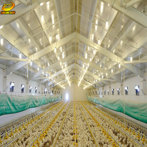 Factory provide structure steel Farm chickens broiler shed building design Henhouse - Product Image 3