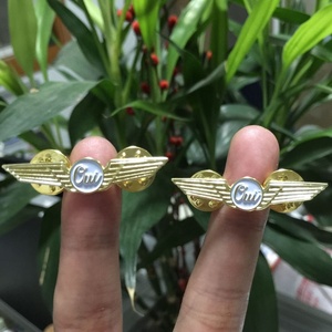 Insignia de Piloto Personalizada con Forma de Ala de Águila en Metal Dorado - Product Image 5