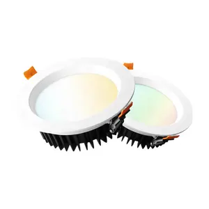 Gledopto Cao Lumen Amazon Phổ Biến 160X60mm Kép Màu Trắng Và Màu 12 Wát Zigbee LED Souce Downlight