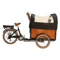 Tricycle électrique avec chariot, bicyclette néerlandaise à 3 roues, livraison gratuite