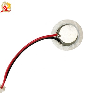 20mm 2.4MHz 피에조 세라믹 디스크 수중 초음파 네뷸라이저 압전 변환기 - Product Image 4