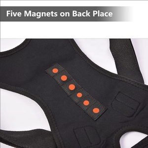 Chất Lượng Cao Thắt Lưng Hỗ Trợ Ghế Trở Lại Hỗ Trợ Ngồi Tư Thế Corrector Eo Trở Lại Hỗ Trợ Belt Với Tùy Chỉnh Logo - Product Image 6