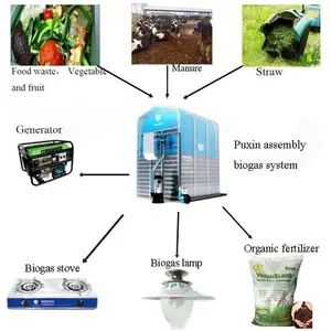 Portable Home Scale Biogas Plant For Cooking