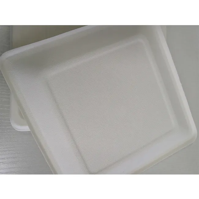 100% Compostable Sugarcane bagasse paper Plate Disposable tetragonum paper plates