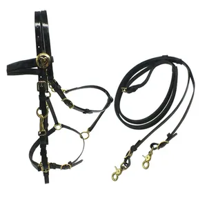 Durable and Water-Resistant Endurance Horse Racing Headstall Nylon and PVC Material Australian Saddle Style Horse Halter