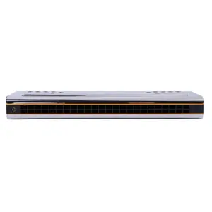 Double Side Double Tone Swan Harmonica 24 LỖ Cho Trẻ Em Người Lớn Mới Bắt Đầu