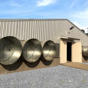Bâtiments de ferme industriels de volaille de poulet de chair de poulet préfabriqués en métal de structure métallique à vendre