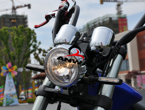 1500W 2 ruedas scooter Eléctrico Citycoco scooter Eléctrico Espana e <span class=keywords><strong>scoter</strong></span> para adultos - Product Image 5