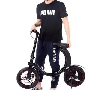 OEM 리튬 배터리 전원 미니 접이식 전기 자전거/전기 자전거