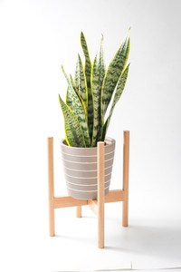 Support de <span class=keywords><strong>plantes</strong></span> réglable <span class=keywords><strong>pour</strong></span> l'<span class=keywords><strong>intérieur</strong></span> et l'extérieur, planteur moderne Mid year - Product Image 4