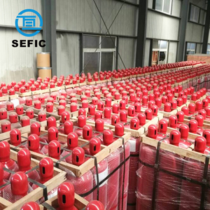 Industrial, ¿Dónde puedo comprar 68L Co2 - Product Image 5