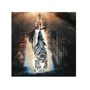 2026 fai da te Diamond Painting personalizzato stampa artigianale pittura diamantata su misura gatto e tigre Diamond Painting in numeri - Product Image 1