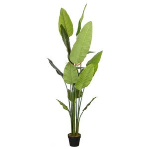 En çok satan çevre dostu 180 cm yapay cennet kuşu simülasyon striliyzia fabrika doğrudan tedarik - Product Image 6