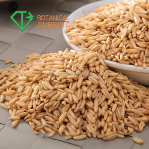 Fábrica de suministro de <span class=keywords><strong>Avena</strong></span> <span class=keywords><strong>Sativa</strong></span>, extracto 35% de Beta-glucano en polvo Beta glucano de <span class=keywords><strong>Avena</strong></span> - Product Image 5