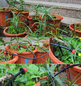 <span class=keywords><strong>Goutteur</strong></span> réglable pour système d'irrigation de jardin, de ferme et d'agriculture - Product Image 6
