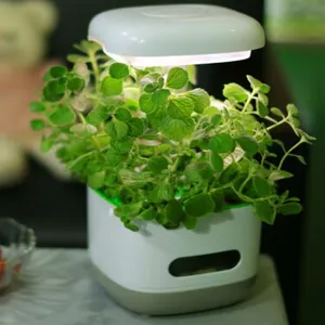 2019 畅销产品 hydroponic system 花卉生长套件 led 家用和办公室种植的生长灯