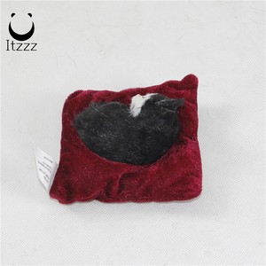 Die kuscheligen, schlafenden katze eines elenden, kuscheltiers passen sich an, als wä<span class=keywords><strong>re</strong></span> er ein akutes tier-puppengeschenk - Product Image 6