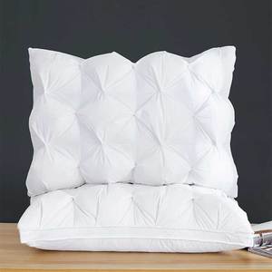 <span class=keywords><strong>Oreiller</strong></span> décoratif en tissu 100% coton, coussin de lit pelucheux avec plumes, bon marché, à insertion d'hôtel, pour dormir - Product Image 2