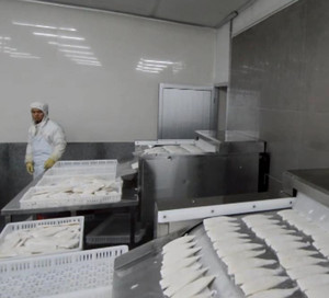 IQF Công Nghiệp Blast Tủ Đông Tunnel Blast Tủ Đông Lưới Vành Đai Nhanh Chóng Tủ Đông - Product Image 4